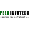 Peer Infotech Website Creation  in Amritsar Logo